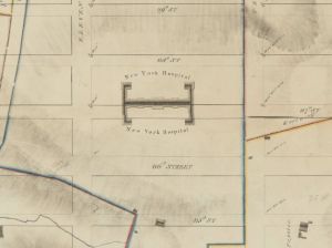 Randal Farm Map of 1818-1820 showing The Bloomingdale Insane Asylum