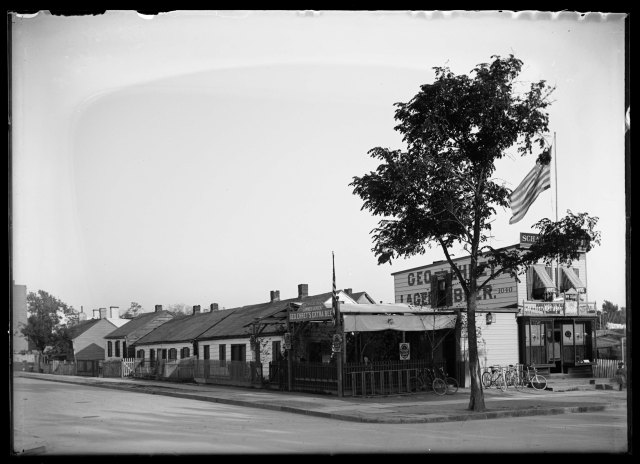 Bicycle Summer Garden from the Bracklow Collection